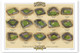 Jewel Boxes Vintage Ballparks Print