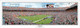 Miami Dolphins "31 Yard Line" Sun Life Stadium Panoramic Poster