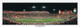 Tennessee Volunteers "1998 National Champions" Panoramic Poster