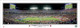 Florida Gators "2009 BCS National Championship" Panoramic Poster