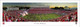 NC State Wolfpack at Carter-Finley Stadium Panoramic Poster