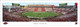 Arkansas Razorbacks at Donald W. Razorback Stadium Panoramic Poster