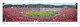 Rose Bowl Game Penn State Nittany Lions vs Utah Utes Panoramic Poster