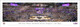 2023 NCAA Women's Basketball National Champions - LSU Tigers Panoramic Poster