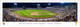 2024 College World Series Baseball Panoramic Poster- Tennessee Volunteers Celebration