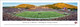 Montana Grizzlies at Washington-Grizzly Stadium Panoramic Poster