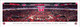 Ohio State Buckeyes Women's Basketball at Schottenstein Center Panoramic Poster