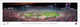 2025 Rose Bowl Champions - Ohio State Buckeyes Panoramic Poster
