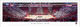 New Mexico Lobos at the Pit Cave Panoramic Poster