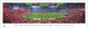 2025 College Football Playoff National Championship - Ohio State vs Notre Dame Panoramic Poster