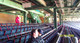 Fenway Park Authentic  Seat - Boston Red Sox