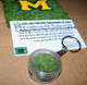 Michigan Stadium Game Used Turf Keyring