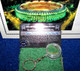 Busch Stadium Game Used Turf Keyring