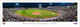 2023 College World Series Champions - LSU Tigers Panoramic Poster
