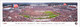 Florida State Seminoles "Storm the Field" at Doak Campbell Stadium Panoramic Poster