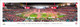 2025 College Football National Champions - Indiana Hoosiers Panoramic Poster