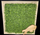 Highmark Stadium Game Used Turf Shadow Box Display - Buffalo Bills