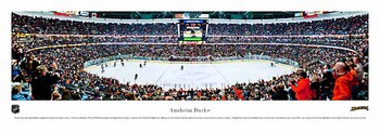 NHL Hockey  Arena Panoramas