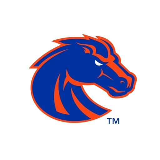 Boise State Broncos