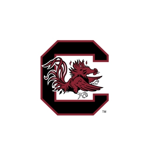 South Carolina Gamecocks