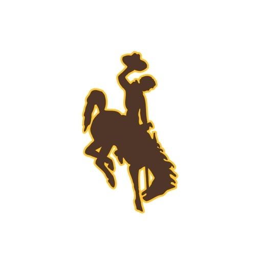 Wyoming Cowboys