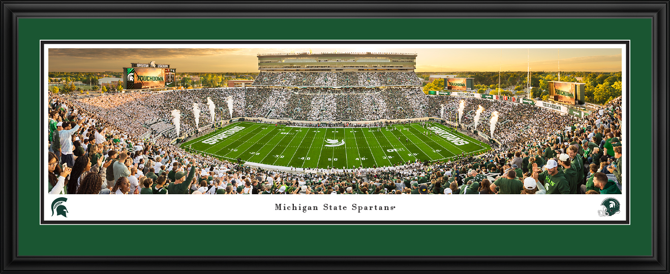 msu8d.jpg