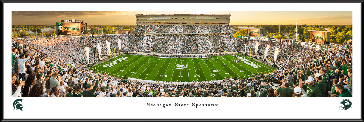 msu8f.jpg