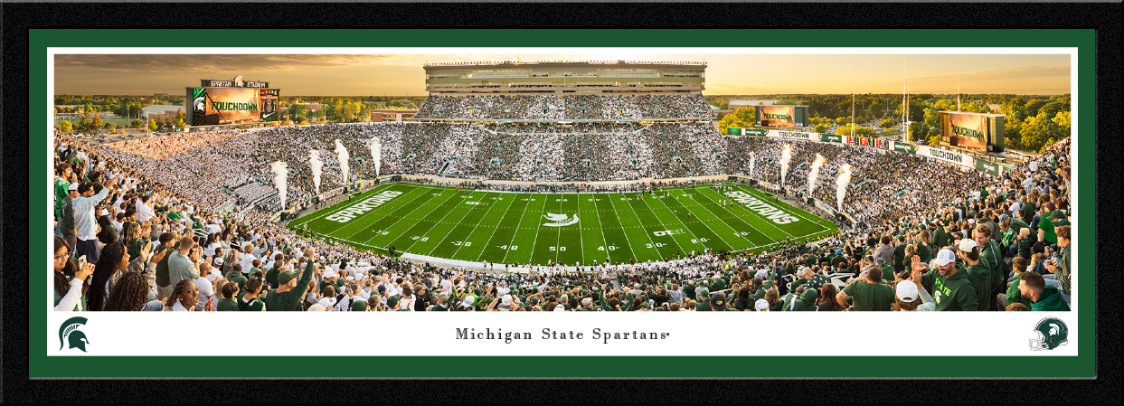 msu8m.jpg