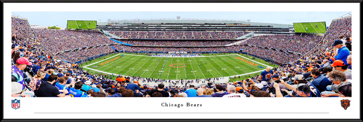 nflbear7f.jpg