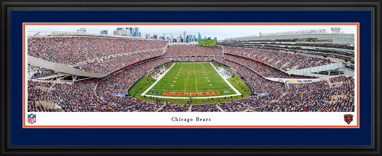 nflbear8d.jpg