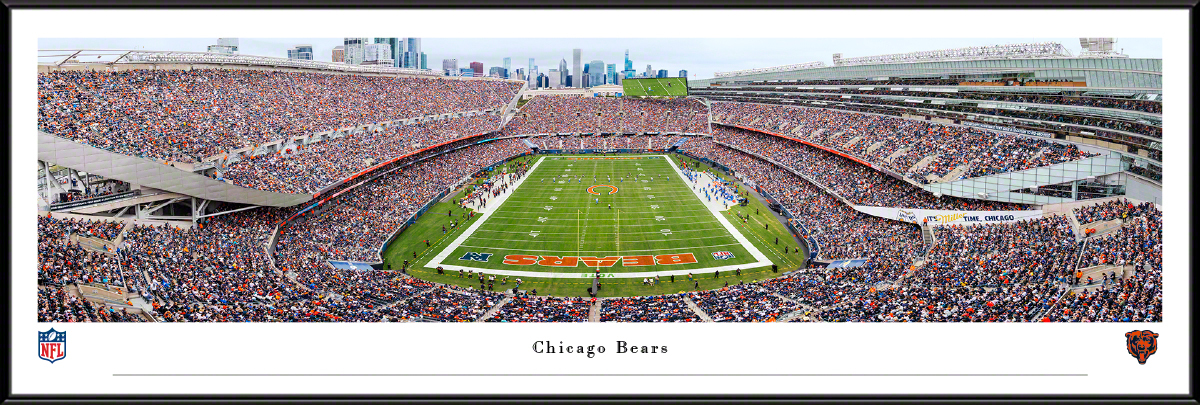 nflbear8f.jpg