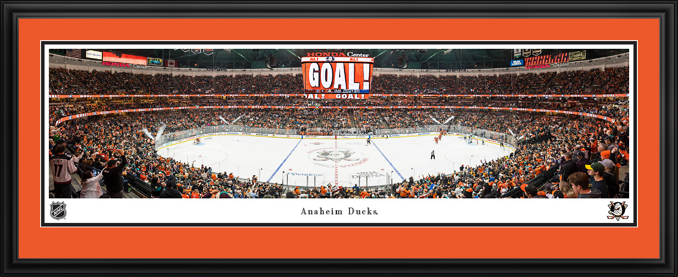 nhlduck4d.jpg