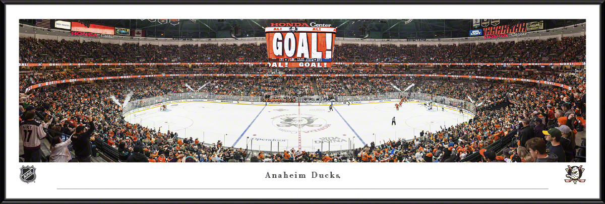 nhlduck4f.jpg