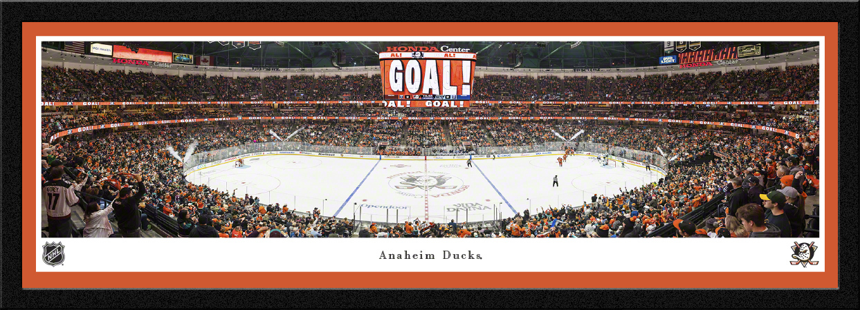 nhlduck4m.jpg