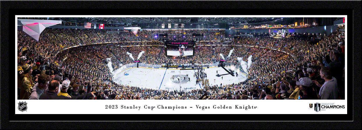 2019 NHL Winter Classic Panoramic Poster - Boston Bruins vs. Chicago  Blackhawks