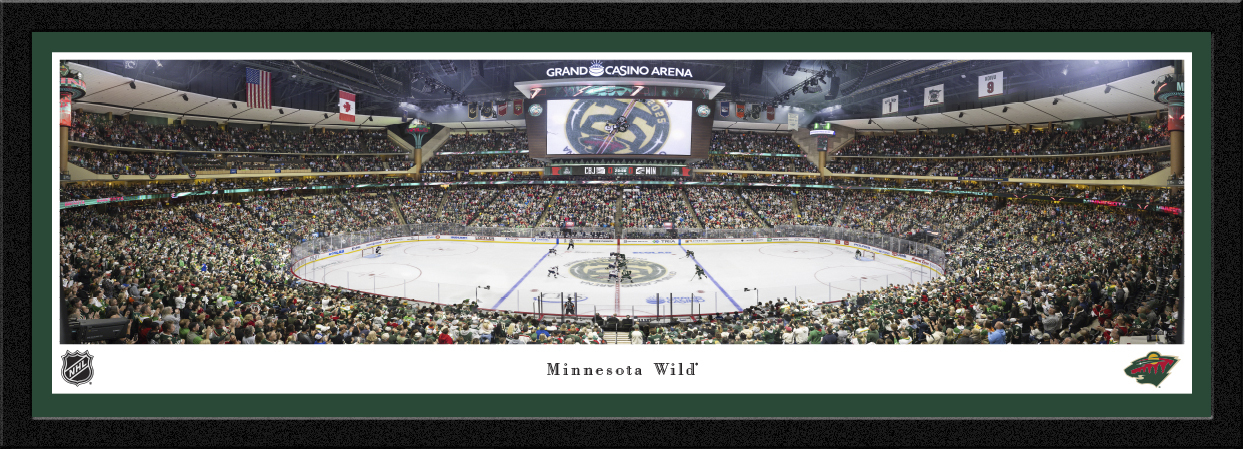 nhlwild6m.jpg
