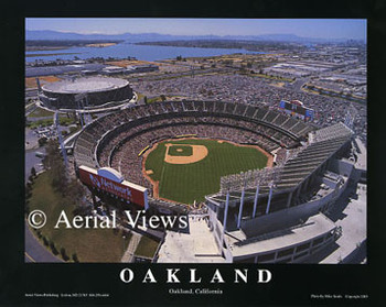 Oakland Athletics/McAfee Coliseum Wall Mural