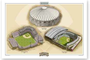 Seattle Mariners Ballparks Print - the Stadium Shoppe
