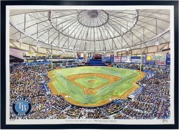 Tampa Bay Rays Panoramic Print - 2008 World Series