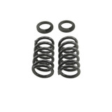 PRO COIL SPRING SET | 2 OR 3 INCH FRONT LOWERING - 23804