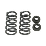 COIL SPRING SET | 1 INCH FRONT LOWERING - 4204