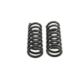 COIL SPRING SET | 2 INCH FRONT LOWERING - 4759