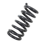 COIL SPRING SET | 2 INCH FRONT LOWERING - 4766