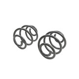 COIL SPRING SET | 5 INCH REAR LOWERING - 5355