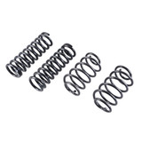 MUSCLE CAR SPRING SET - 5818