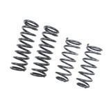 MUSCLE CAR SPRING SET - 5841