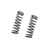 MUSCLE CAR SPRING SET - 5841
