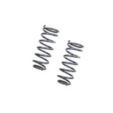 MUSCLE CAR SPRING SET - 5841