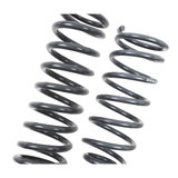 MUSCLE CAR SPRING SET - 5841