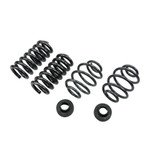 LOWERING KIT W/O SHOCKS - 710